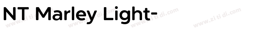 NT Marley Light字体转换